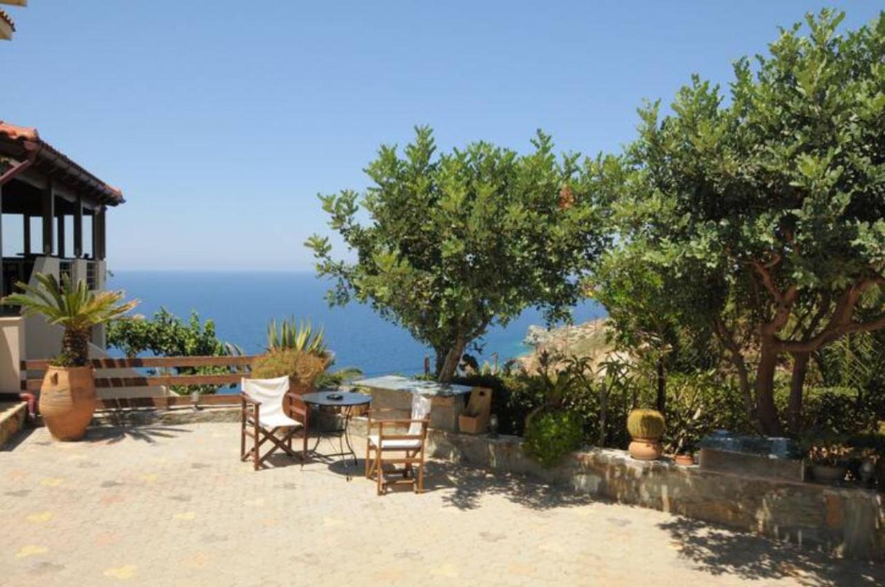 Vitamin Sea Luxury Villas アギア・ペラギア エクステリア 写真