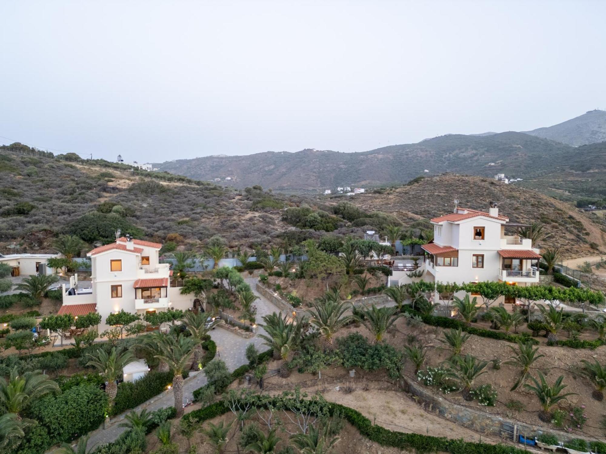 Vitamin Sea Luxury Villas アギア・ペラギア エクステリア 写真